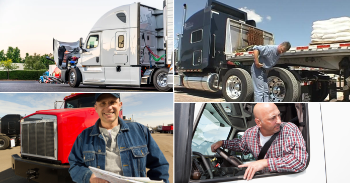 Truckers identify key gaps in transport training, emphasizing real-world experience, load securement, and stress management skills.